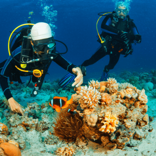 INMERSIÓN BUCEO
